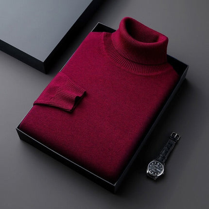 Men's Roll Neck Jumper in Regular Fit – Refined Winter Knit